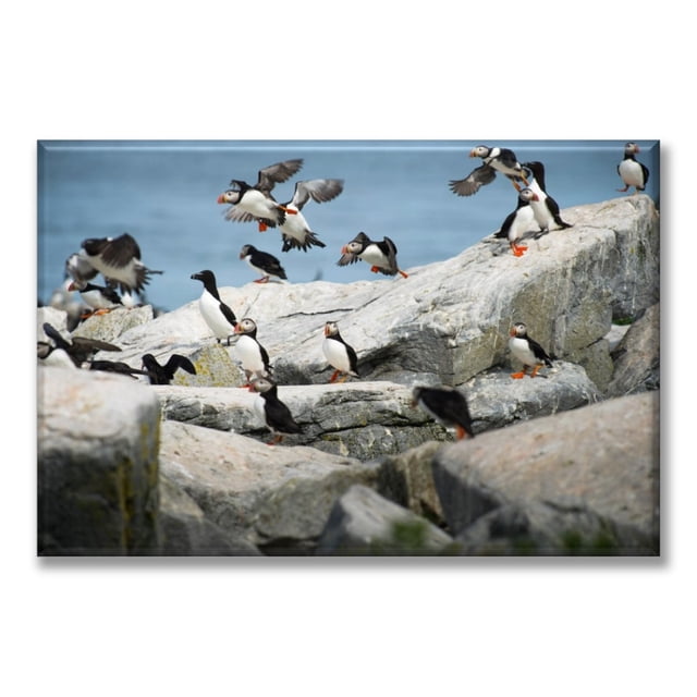 Cuadro Canva Pixtreats listo para Colgar tipo galería Parvada de Pinguinos 50X75 cm