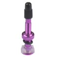 thumbnail image 1 of koolsoo Alloy Mountain-Bike Presta Valves Replacement Removable Vacuum-Nozzle, 1 of 9