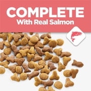 Purina Cat Chow Complete High Protein Dry Cat Food with Real Salmon, 15 lb Bag