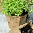thumbnail image 4 of Peat Pots Seed Starter Trays Biodegradable Seedling Pots Germination Trays  Organic Plant Starter Kit, 4 of 9