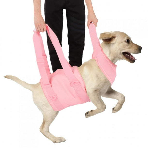 Dog Walking Aid Dog Walking Aid Kit Disabled Dog Harness Dog Walking Auxiliary Best in its Class