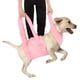 thumbnail image 4 of Kit de ayuda para pasear perros, collar auxiliar con correa y asa de elevación, soporte para la recuperación de mascotas mayores y enfermas, color rosa XL, 4 of 14