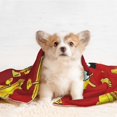 thumbnail image 4 of Zufioo SpongeBob SquarePants Print Super Soft Fleece Blanket Bed For Cats And Dogs,Soft Pet Blanket Sleep Mat Bed Cover for Large Medium Small Dog-Small, 4 of 9