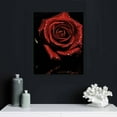 thumbnail image 4 of Nawypu  Red Rose Canvas Wall Art Flower Blossoming on Black Background Picture Print Wall Painting  Modern Artwork Wall Décor for Bedroom Living Room Bathroom Office, 4 of 4