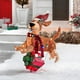 thumbnail image 1 of Christmas Outdoor Decoration Lighted, 3D Cute Lightening Animals Xmas Indoor Outside Holiday Decor with LED Warm White Yard Light, Light Up for Yard, 1 of 2