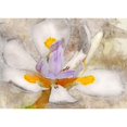 thumbnail image 3 of Robertson, Leda 24x18 Black Modern Framed Museum Art Print Titled - Blooming into Abstraction, 3 of 5