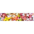 thumbnail image 5 of Ceaco Succulents Pretty Pastels 300 Piece Interlocking Jigsaw Puzzle, 5 of 6