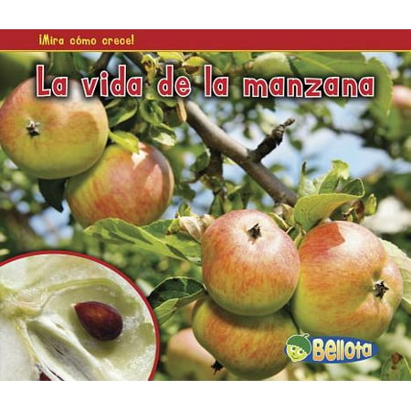 Mira Como Crece La Vida De La Manzana Paperback Walmart Com