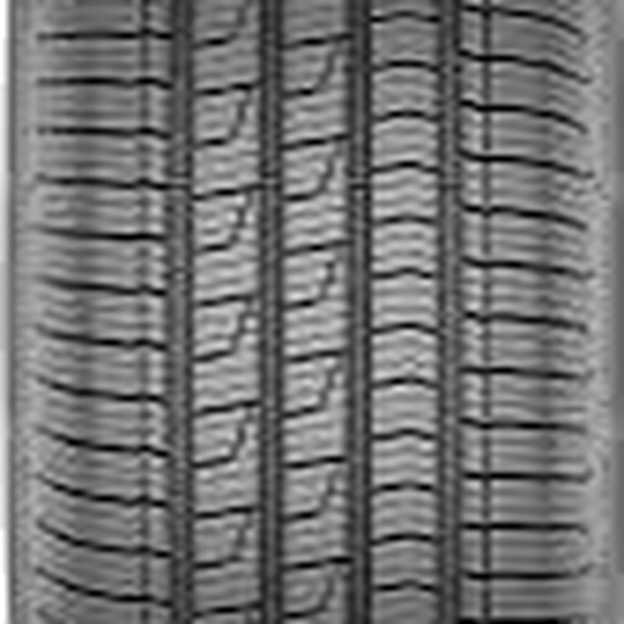 Goodyear Eagle Sport 4 Seasons All Season 215/60R17 96V Passenger Tire