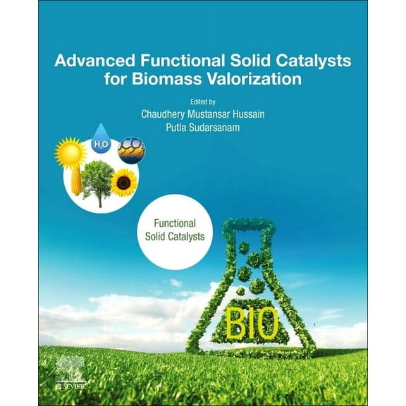 Advanced Functional Solid Catalysts for Biomass Valorization, (Paperback)