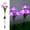 Purple, variant on 50% 0ff Clearance! Solar Powered Flower Lamp Flower Stake LED Lights, 3 Head Outdoor Daffodil Garden Lights Decorative Stake Lights For Garden Yard
