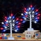 thumbnail image 3 of 24LED Decoration Independence Day Timer Function USB Battery Powered Red White And Blue Lights For Flag Day Decoration, 3 of 5