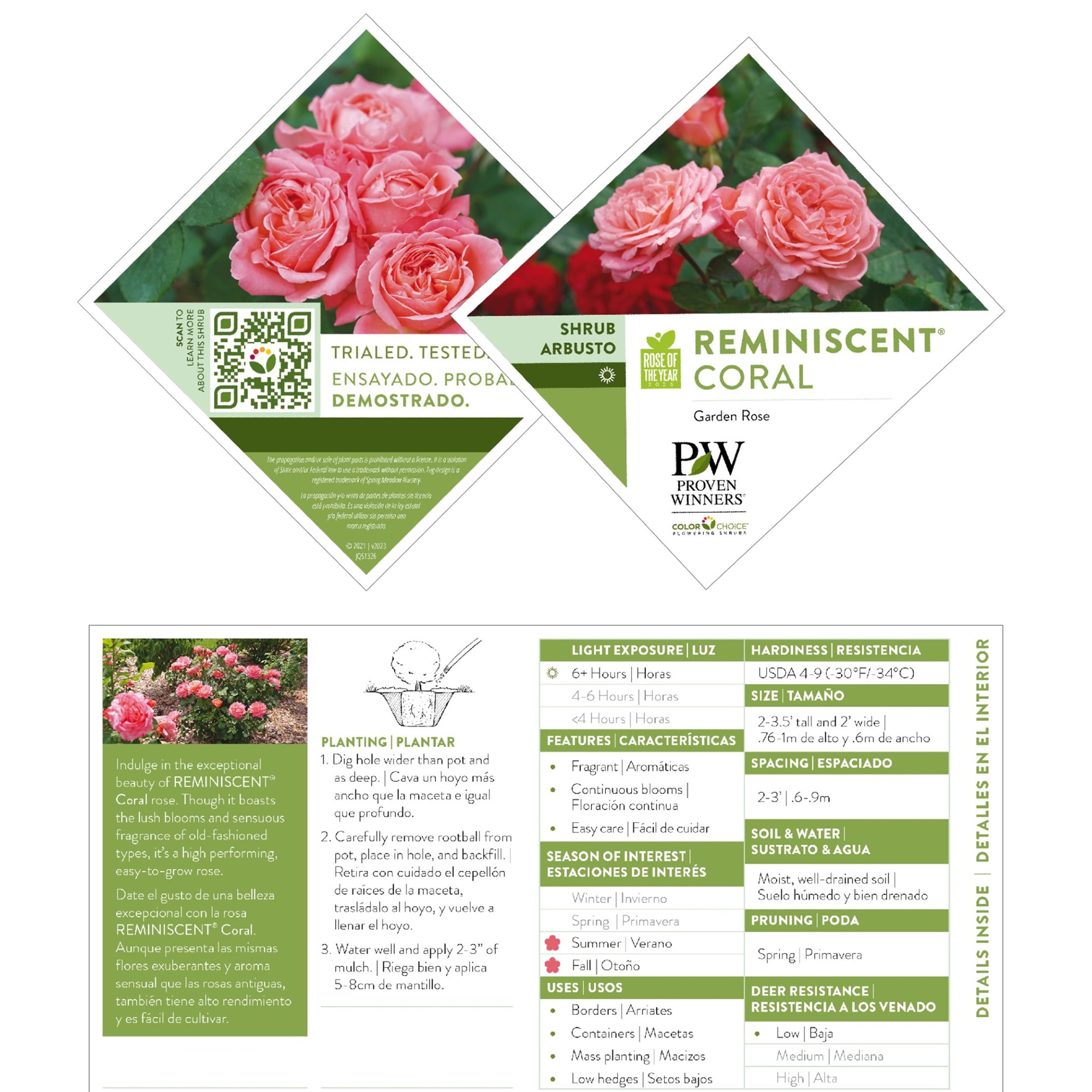 Proven Winners ColorChoice Reminiscent Coral Rose Live Shrub (2 Gallon)