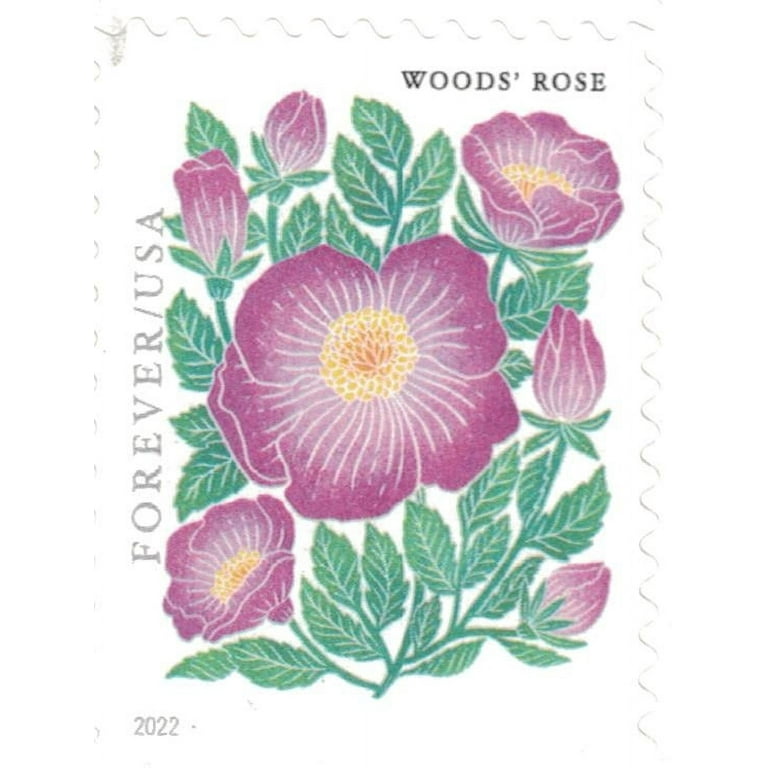 Tulip Blossoms USPS Forever Postage Stamp 1 Book of 20 US First Class  Postal Flower Spring Wedding Holiday Celebrate Announcement Party (20 Stamps)  
