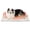 Ivory White, variant on U By Bedsure ComfyFleece Self Warming Cat Bed, Small Self Heating Dog Crate Pad, Thermal Extra Warm Puppy Mat Indoor, Non-Slip & Washable, Not Electric, 24" x 18", Gray