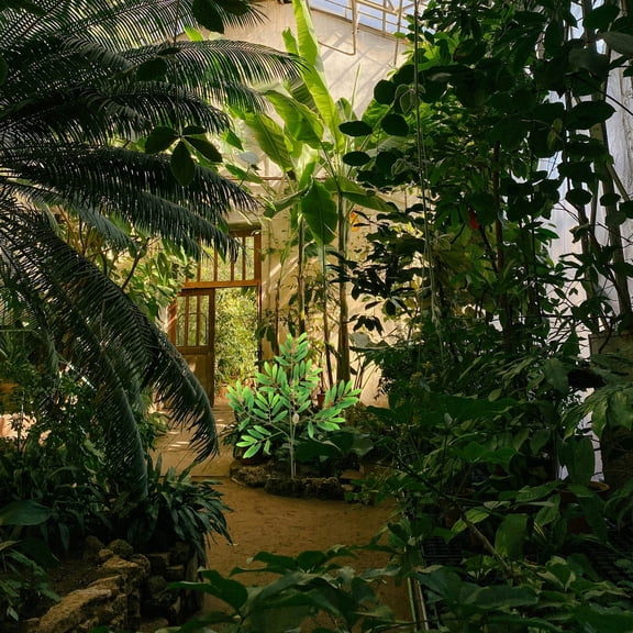 PENIKOKO Faux Olive Branches 4Pcs Artificial Greenery Plastic Material For Weddings Parties Home Decor