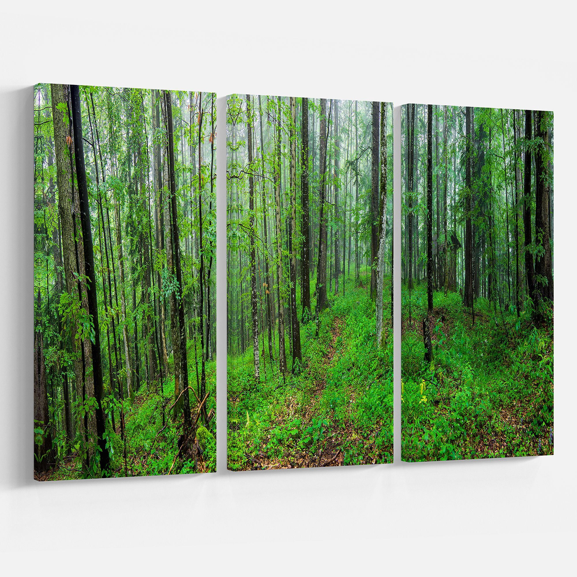 Designart 'Green Wild Forest with Dense Trees ' Forest Canvas Art Print
