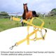 thumbnail image 4 of Cabestro de caballo cabestro reflectante de caballo amarillo fluorescente ajustable para carreras para montar ANGGREK Otros, 4 of 8