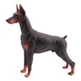 thumbnail image 4 of EeaseCA 1pc Doberman Model Simulation Lifelike Static Dog Animal Statue Figurine Desktop Adornment (Brown), 4 of 7