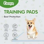 Cocoyo Best Value Training Pads 30 Count | Dog Pee Pads | Super Absorbent Puppy Pads,22*22,Blue
