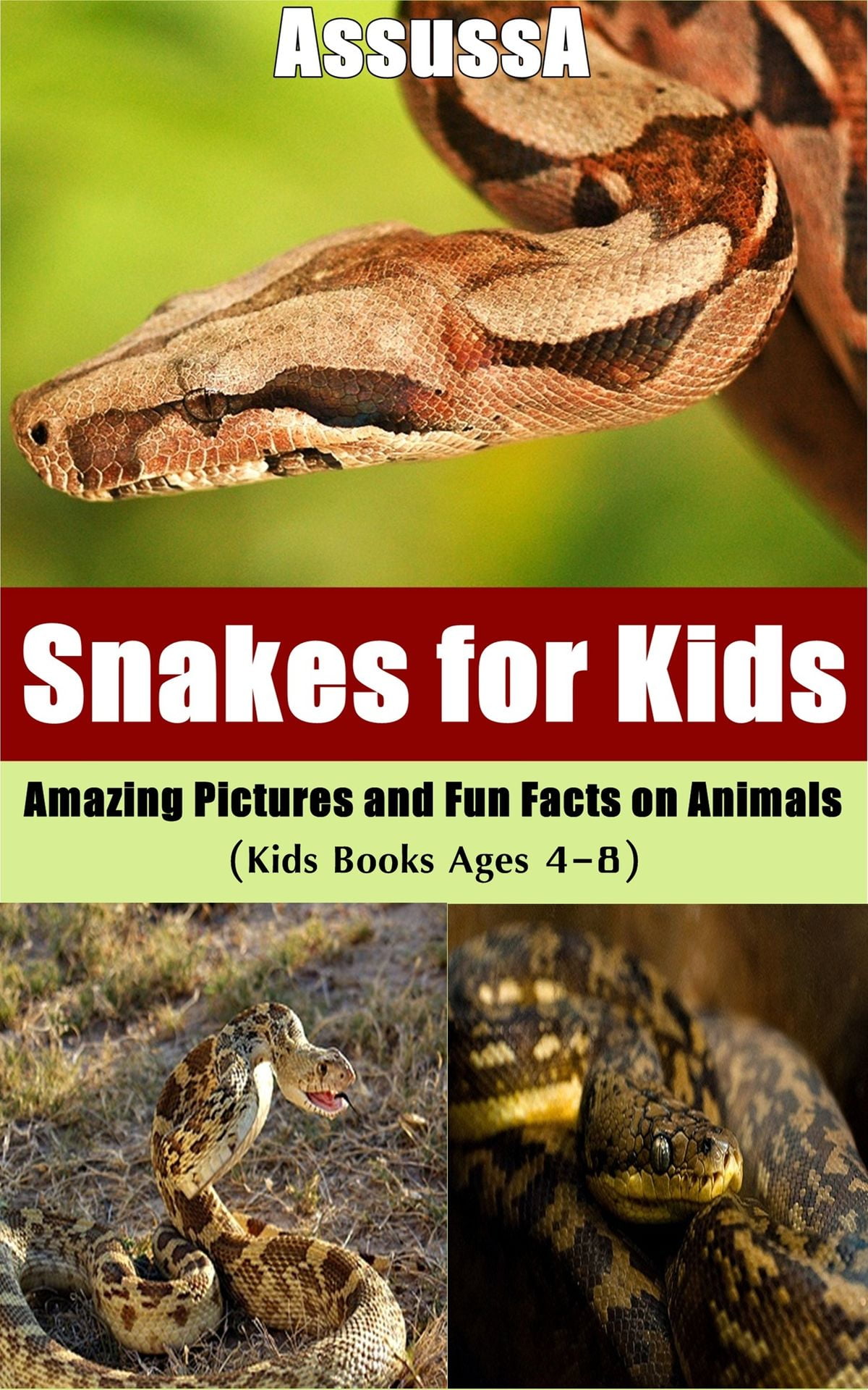 Snakes for Kids :Amazing Pictures and Fun Facts on Animals - eBook