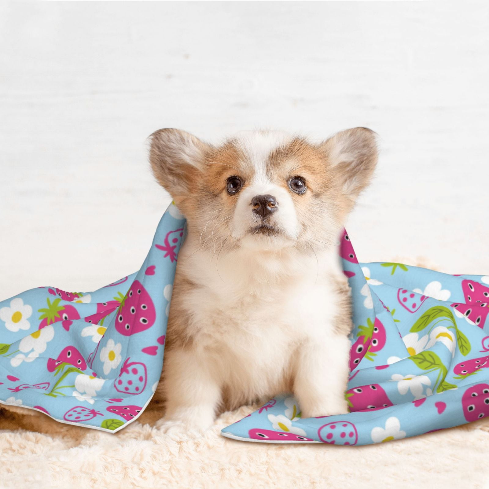 Naloa Strawberry And Flowers Dog Blanket, 3 Sizes Cat Blanket for Indoor Cats Large Medium Small Dog Gifts-Large