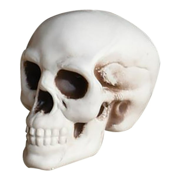 CLLC 1:1 Modelo de cabeza de cráneo, simulación de esqueleto, cráneos de Halloween de aspecto realista, cabeza de esqueleto humano, modelo de cabeza humana para decoración del hogar, estatua de Hallo