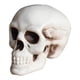 thumbnail image 2 of Halloween Skeletons Plastic Realistic Fake Simulation Human Skull HeadBone Model Halloween Prop Realistic Mini Skeleton Spooky Halloween Decoration, 2 of 5