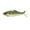 4K Bluegill, variant on 6th Sense – Sweep 6 Weedless Soft Plastic Swimbait, 6in. (1.2oz.), Subtle Tail Action