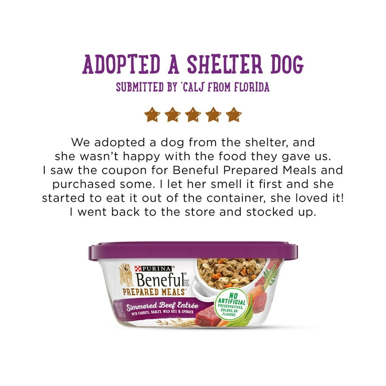 Purina Beneful Prepared Meals Wet Dog Food High Protein Simmered 
