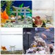 thumbnail image 5 of Estatua de micropaisaje para jardín, de piedra, para decoración del hogar, acuario, puerta Torii, manualidades de escritorio, 5 of 6
