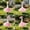 Pink 2, variant on AuroraX 23 inch Porch Goose Outfit Sets Porch Goose Clothes Set 23" 17 19 inch Birthday Princess Tutu Skirts Front Porch Goose Clothes Lawn Garden Decor