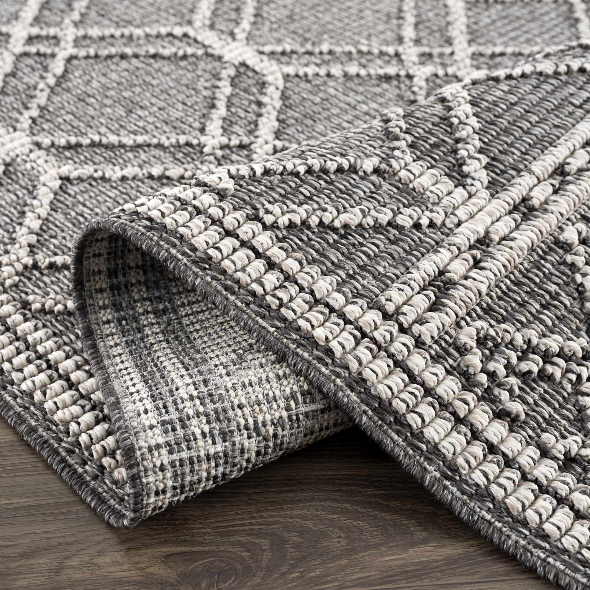 BoutiqueRugs Diah Farmhouse Area Rug - Outdoor Safe - Black, Beige - 2' x 3'