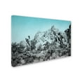 thumbnail image 2 of Trademark Fine Art 'Ombre Adventure III' Canvas Art by Elizabeth Urquhart, 2 of 3