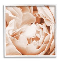 Stupell Industries Pastel Pink Peony Petals Botanical & Floral Photography White Framed Art Print Wall Art, 24 x 24