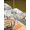 White, variant on Outdoor Tablecloth with Umbrella Hole and Zipper, Fall Rectangle Table Cloth 60x84 Inch Waterproof Tablecloth, Orange Green Pumpkins Thanksgiving Bird Leaf Picnic Table Cover for Patio Camping