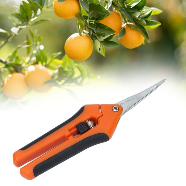 Spring loaded 2024 scissors walmart