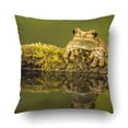 thumbnail image 1 of BOSDECO Milk Frog Perched On A Mossy Log Edge Of Pond Showing Reflection In With Green Pillowcase Pillow Cushion Cover 16x16 inch, 1 of 1