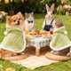 thumbnail image 5 of Manta para perros pequeños Manta para perros y gatos Chal de lana coral cálido con capucha, 5 of 5