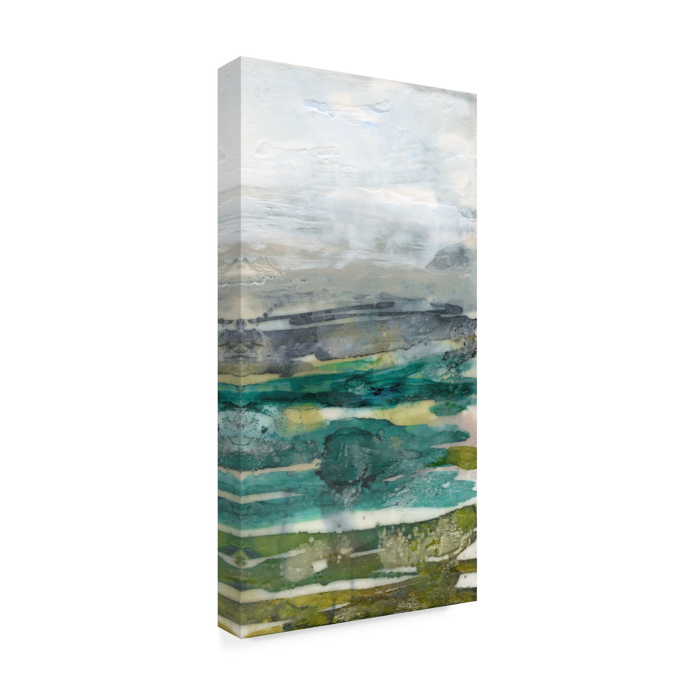 Jennifer Goldberger 'Crackled Marshland III' Canvas Art