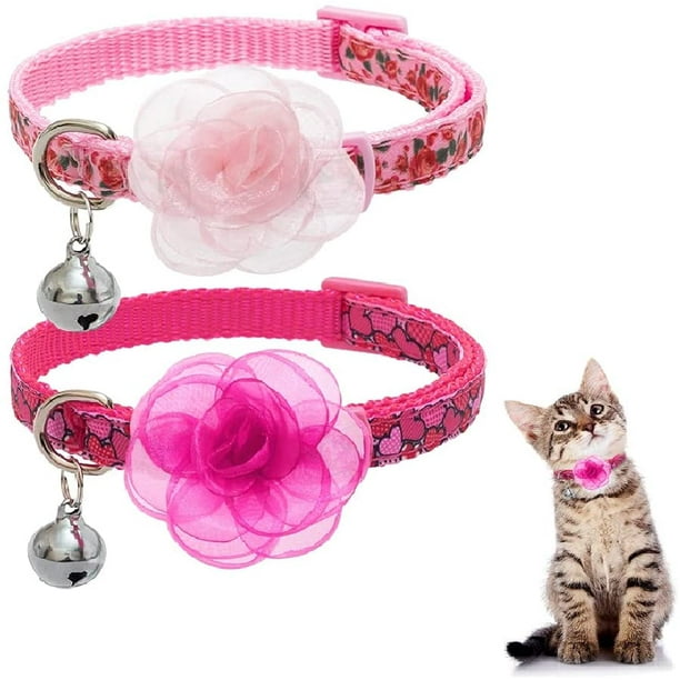 Kitten collars clearance