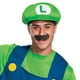 thumbnail image 2 of Disfraz: Disfraz de Luigi, oficial de Nintendo Super Mario Bros., 2 of 6