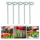 thumbnail image 3 of LITINKIMI 5Ud Estacas De Apoyo Para Plantas De Hogar Color Ligero Y, 3 of 8
