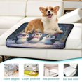 thumbnail image 6 of Qxltty Three Cute Cartoon Penguins Cat litter Pads Pet Set of 2 Diaper Mats Center Anti-leakage Layer Absorbent Soft and Comfortable, 6 of 7