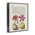 thumbnail image 3 of Stupell Industries Transitional Vintage Nature Page Black Framed Giclee Art, 24 x 30, by Grace Popp, 3 of 8
