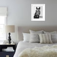 thumbnail image 6 of Man O War Relaxing on His Farm, Animals Framed Art Print Wall Art by Bettmann Sold by Art.Com, 6 of 6