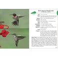 thumbnail image 3 of Birds of Kentucky Field Guide, 3 of 4