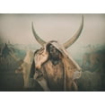 thumbnail image 2 of Yosifov, Svetlin 24x19 White Modern Wood Framed Museum Art Print Titled - Mundari Boy Horns, 2 of 4