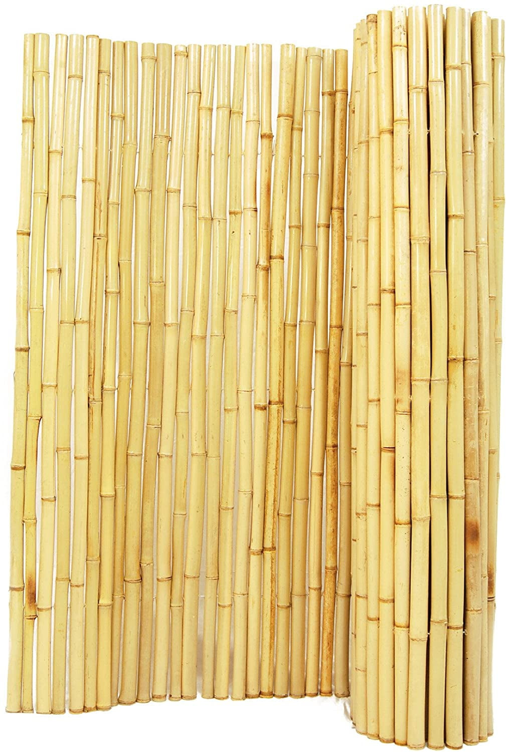 Backyard X Scapes Natural Rolled Bamboo Fence 1in D X 4ft H X 8ft L Natural Rolled Tonkin Bamboo Fencing Panel 1d X 4 T X 8 W Commercial Quality By Brand Backyard Xscapes Backyard X Scapes Natural Rolled Bamboo Fence 1in D X 4ft H X 8ft L Natural Rolled Tonkin Bamboo Fencing Panel 1d X 4 T X 8 W Commercial Quality By Brand Backyard Xscapes