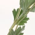 thumbnail image 4 of Ramo de flores artificiales perfecl Decoración de Bricolaje rosado, 4 of 8